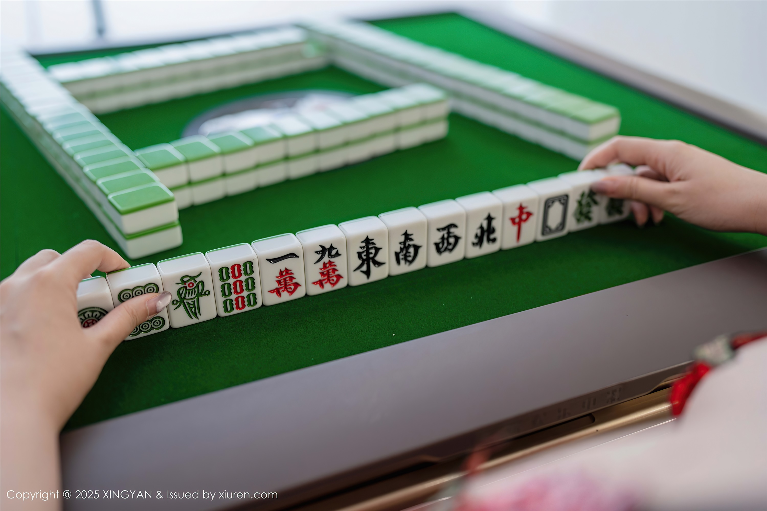 XINGYAN星颜社 2025.02.13 VOL.308 袁圆